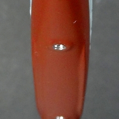 068_Kuma_model_03a.jpg