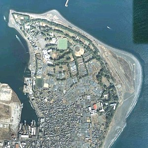 AF_miho_sat_01_s.jpg