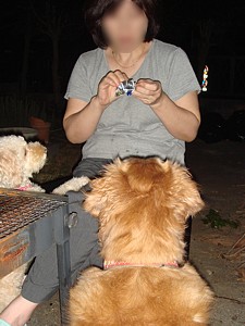 BBQ_0923_03_s.jpg