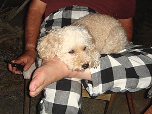 BBQ_0923_04_s.jpg