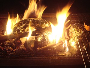 BBQ_h2211_02_s.jpg