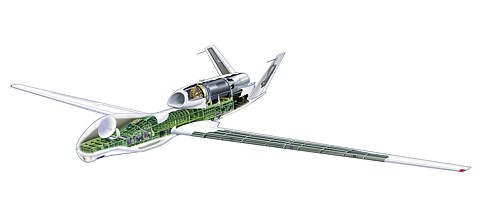 Global_Hawk_02_s.jpg