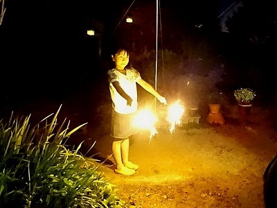 Hanabi_h280813_02.jpg
