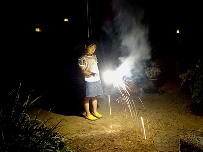 Hanabi_h280813_03.jpg