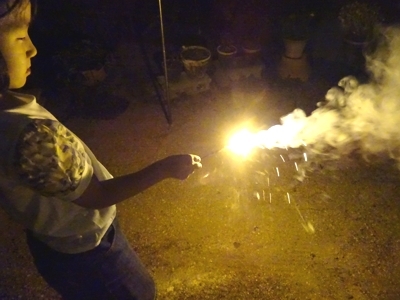 Hanabi_h280813_07.jpg