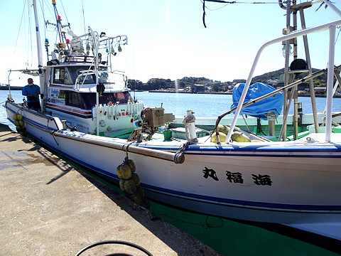 Iki_Tsuri_R020920_02.jpg