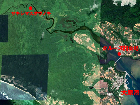 Iriomotejima_sat_R0109_01_s_mod.jpg