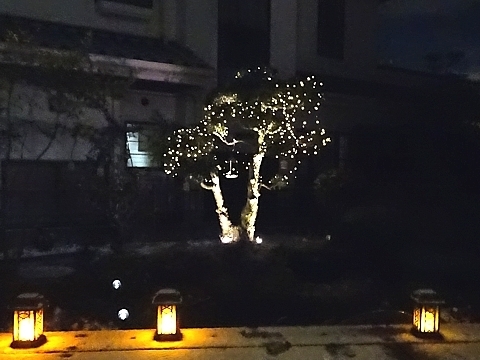 Kanpa_h290114_03.jpg