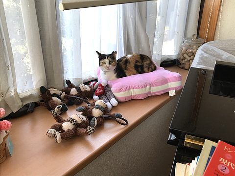 Koharu_R020320_01.jpg