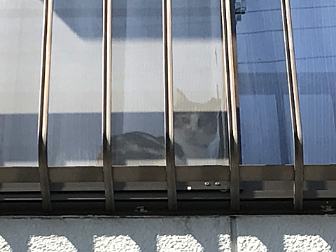 Koharu_R020505_03.jpg