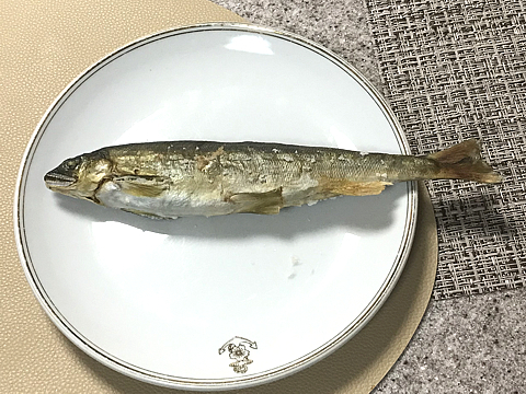 Komochi-Ayu_R041022_02.jpg