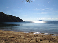 Kurahashi_R041125_02d.jpg