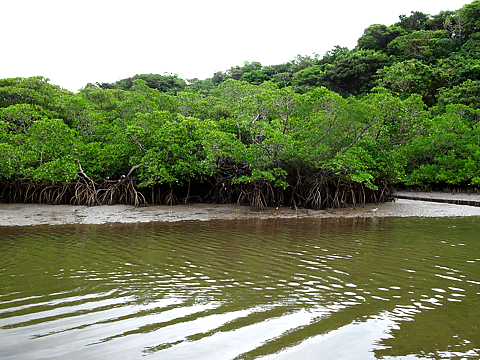 Natuyasumi_18.jpg