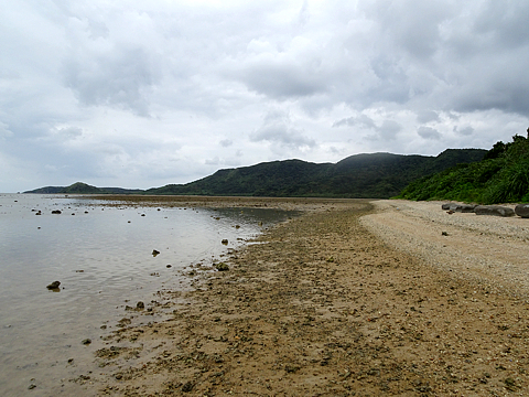 Natuyasumi_28.jpg