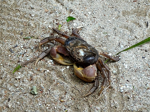 Natuyasumi_31.jpg