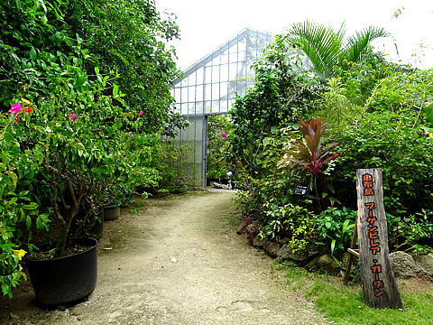Natuyasumi_32.jpg