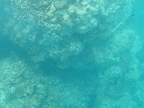 Natuyasumi_39a.jpg