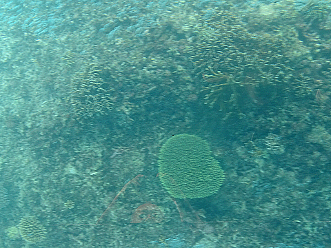 Natuyasumi_39b.jpg