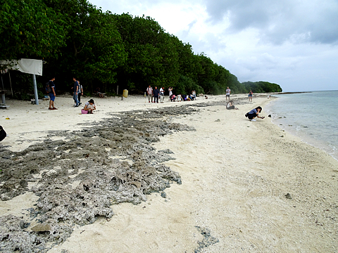 Natuyasumi_41.jpg