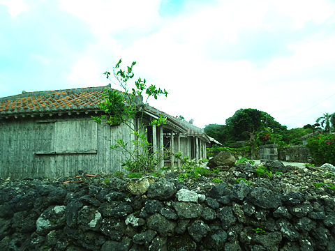 Natuyasumi_45.jpg