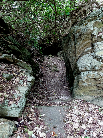 Natuyasumi_49.jpg