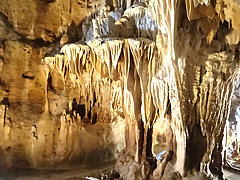 Natuyasumi_58d.jpg