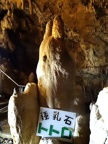 Natuyasumi_58g.jpg