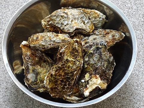 Oister_R031225_01.jpg
