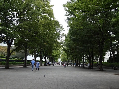 Shibuya_h280930_01a.jpg