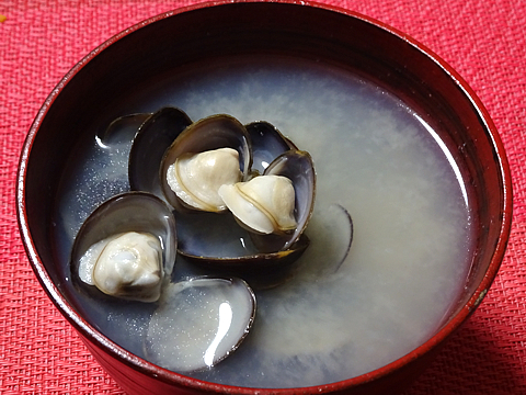 Shijimi_R020508_02.jpg