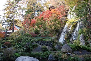 Suemusume_h241125_02.jpg