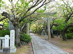 Tobishima_h290421_11a.jpg