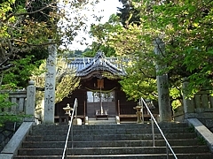 Tobishima_h290421_11b.jpg
