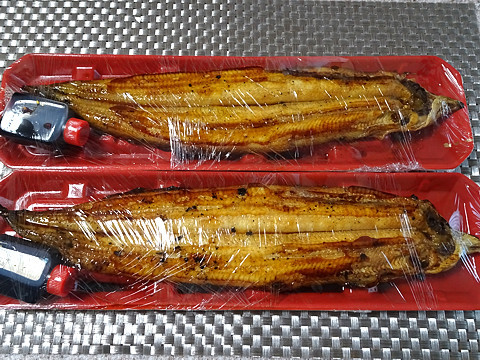 Unagi_20200721_02.jpg