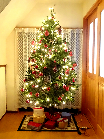 Xmas-tree_R031224_01.jpg