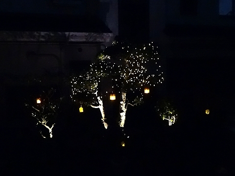 Xmas_deco_2_h281218_03.jpg