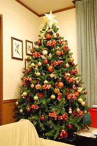 Xmas_h22_01_s.jpg
