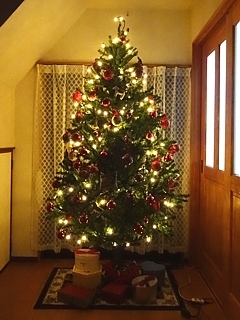 Xmas_tree_h281206_03.jpg