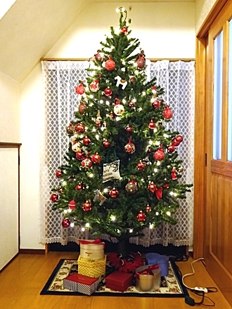 Xmas_tree_h281206_04.jpg