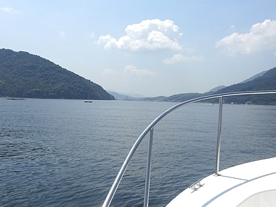 cruise_h280809_07.jpg