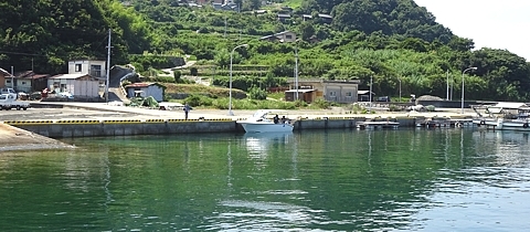 cruise_h280809_14.jpg