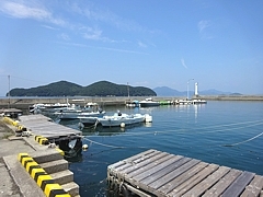 cruise_h280809_14a.jpg