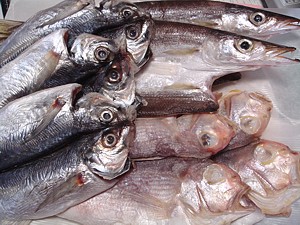 himono_h210927_01_s.jpg