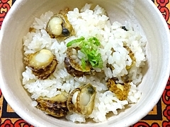 hiougigai_h281202_03a.jpg