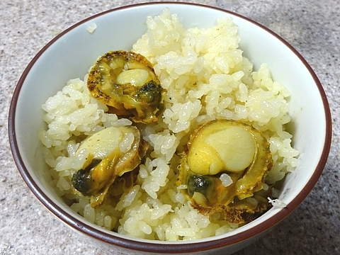 hiougigai_h281231_02.jpg