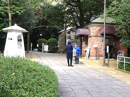 irifuneyama_h281126_09.jpg
