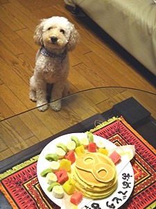 junpei_h240823_03.jpg