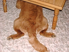 kousuke_08.jpg