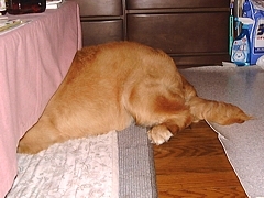 kousuke_09.jpg