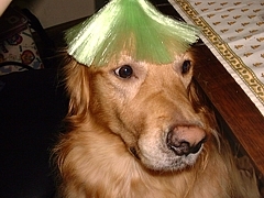kousuke_13.jpg